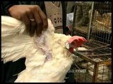 Muslim buying chicken from butcher on occasion of Eid-ul-Fitr