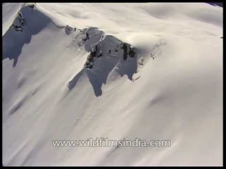 Chopper watching over adventure seeking skiers, Himalayas