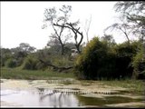 Wetlands of Awagarh in Uttar Pradesh!