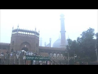 Birds flock the Jama Masjid dome on Eid!