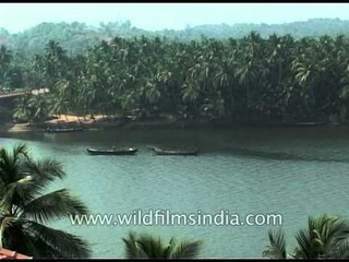 An abundance of natural green and water! This is Kerala!