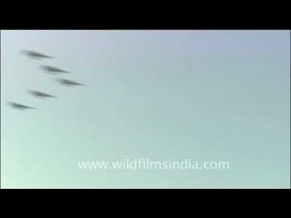 India's Air Force day display of fighters