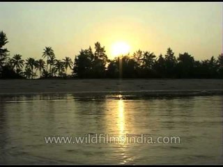 On a quite evening the sun looks even more beautiful in Goa