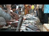 Roadside fish market near Sikanderpur metro station