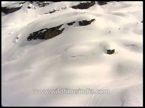 Ant-like adventure seekers skiing in the Himalayas - as seen from a chopper