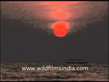 Sun drowns into the Goan sea like a shining red rubber ball!