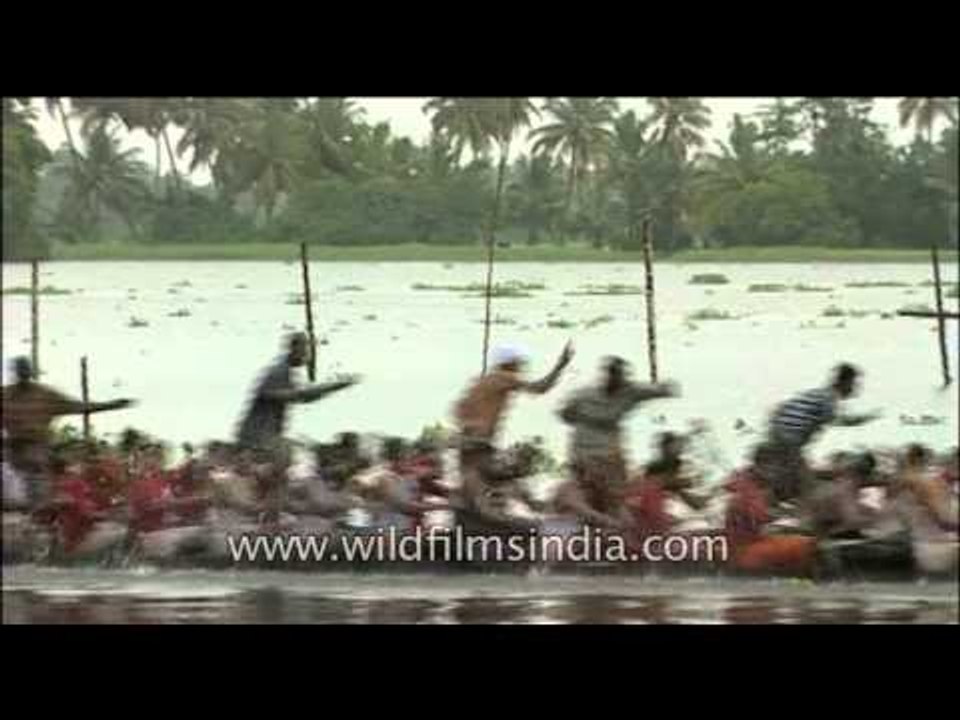 Rowing snake boats speedily in kerala