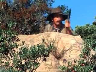 Bonanza S11E09 Meena