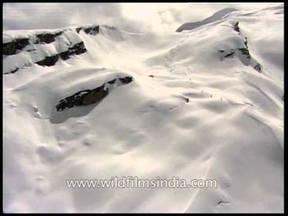 Smooth ski drive as seen from a helicopter in the Himalayas