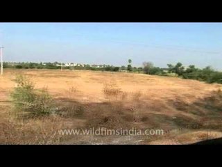 Train leaves station and moves through rustic India : Shahbad-Guntakal network