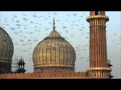 The price of reflection and penance on Id ul fitr at Jama Masjid