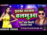 झटका मरलस बलमुआ - Jhatka Marlash Balmua - Ansh Tiwari - Bhojpuri Hit Songs 2019