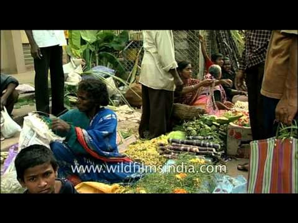 Explore quintessential Bangalore