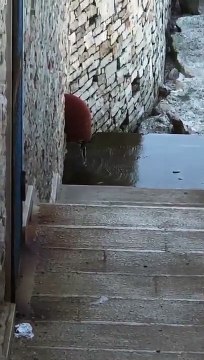 Bisceglie e quello scarico sospetto che vomita reflui nel mare anche quando non piove. Quali le conseguenze sulla salute? - il video diffuso dall'ex Sindaco Francesco Spina