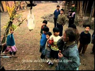 Native rain sacrifice with chickens in Arunachal Pradesh, India
