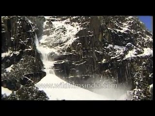 Powder snow avalanche in the Himalayas!