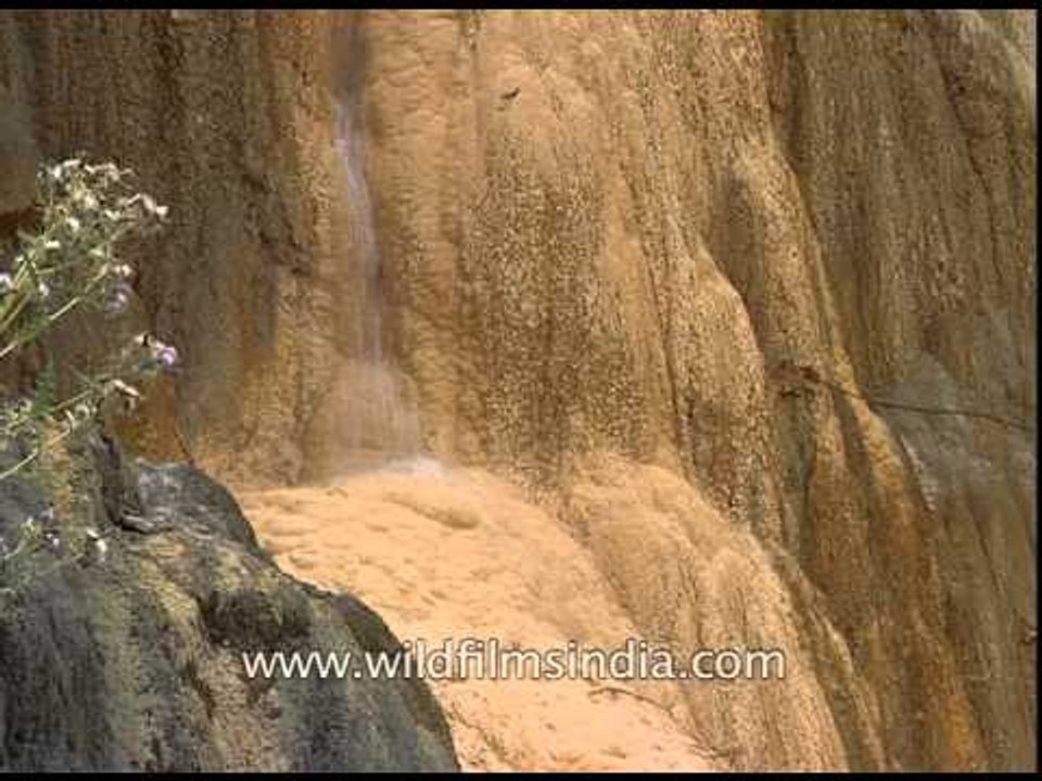 Hot natural water springs of Tapoban