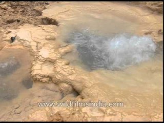Small eruption of boiling water- Topaban
