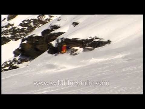 Snow covered mountain peaks perfect for heli-skiing
