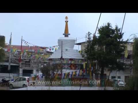 Holy stupa surrounded with prayer flags, at Mullingar, Landour Bazaar