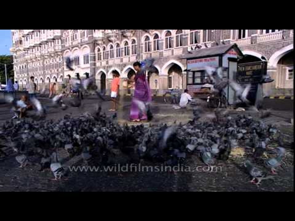 Taj Mahal Palace : One of the luxury hotels in India