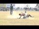 Kabaddi - a sport that is played in rural India!