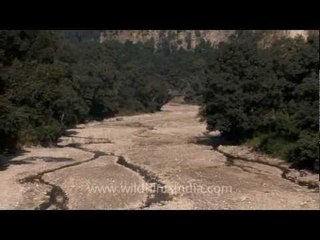 Dried seasonal stream and Shivalik ridges at Rajaji National Park