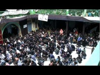 Unbelievable yet true rituals - self lashing of Shia Muslim men on Muharram