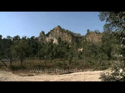 Shivalik hills in Rajaji National Park