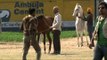 Horse parade at the rural olympics - kila raipur