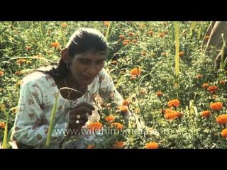 Svetlana Singh making headlines for being the tallest Indian women!