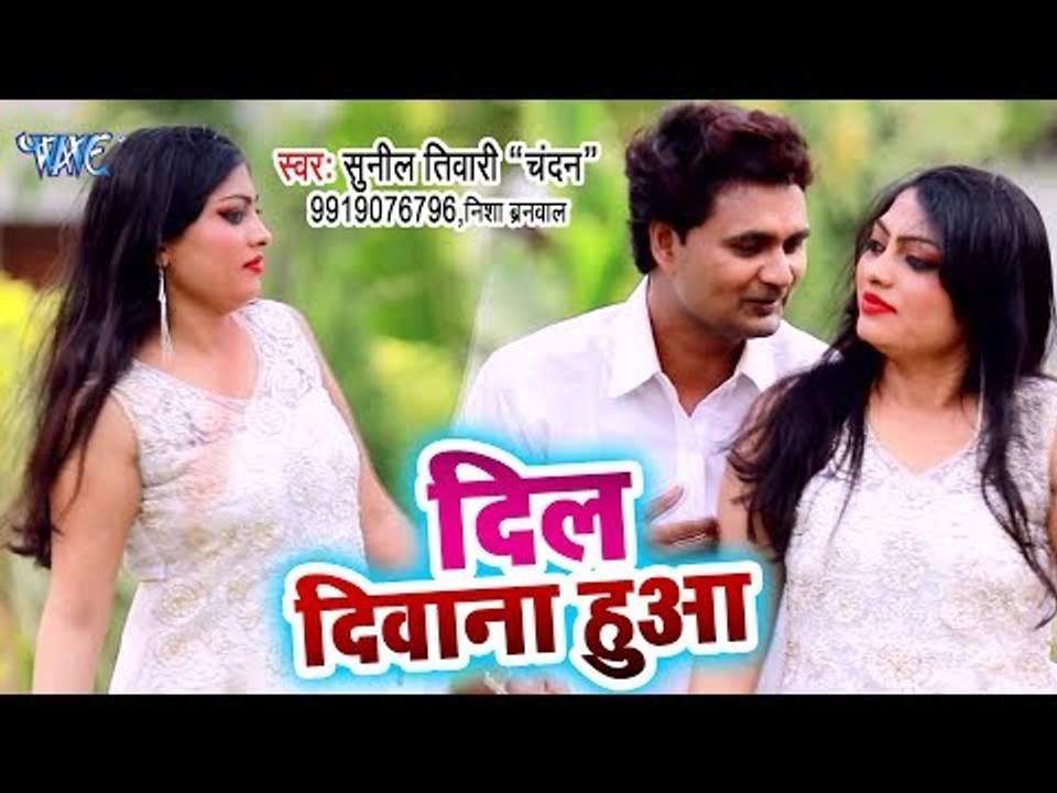 आ गया Sunil Tiwari Chandan का सबसे हिट गाना 2019 - Dil Diwana Hua - Bhojpuri Song 2019