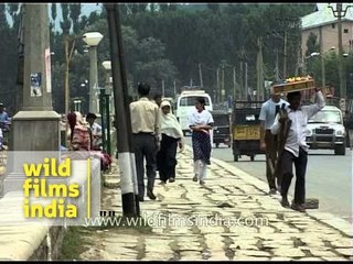 Srinagar - summer capital of Jammu and Kashmir