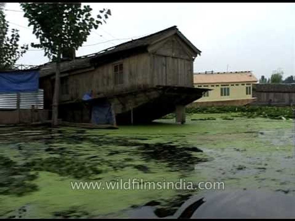 Fantastic houseboat living in Srinagar, India