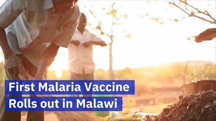 Can This New Malaria Vaccine Help Eradicate This Disease