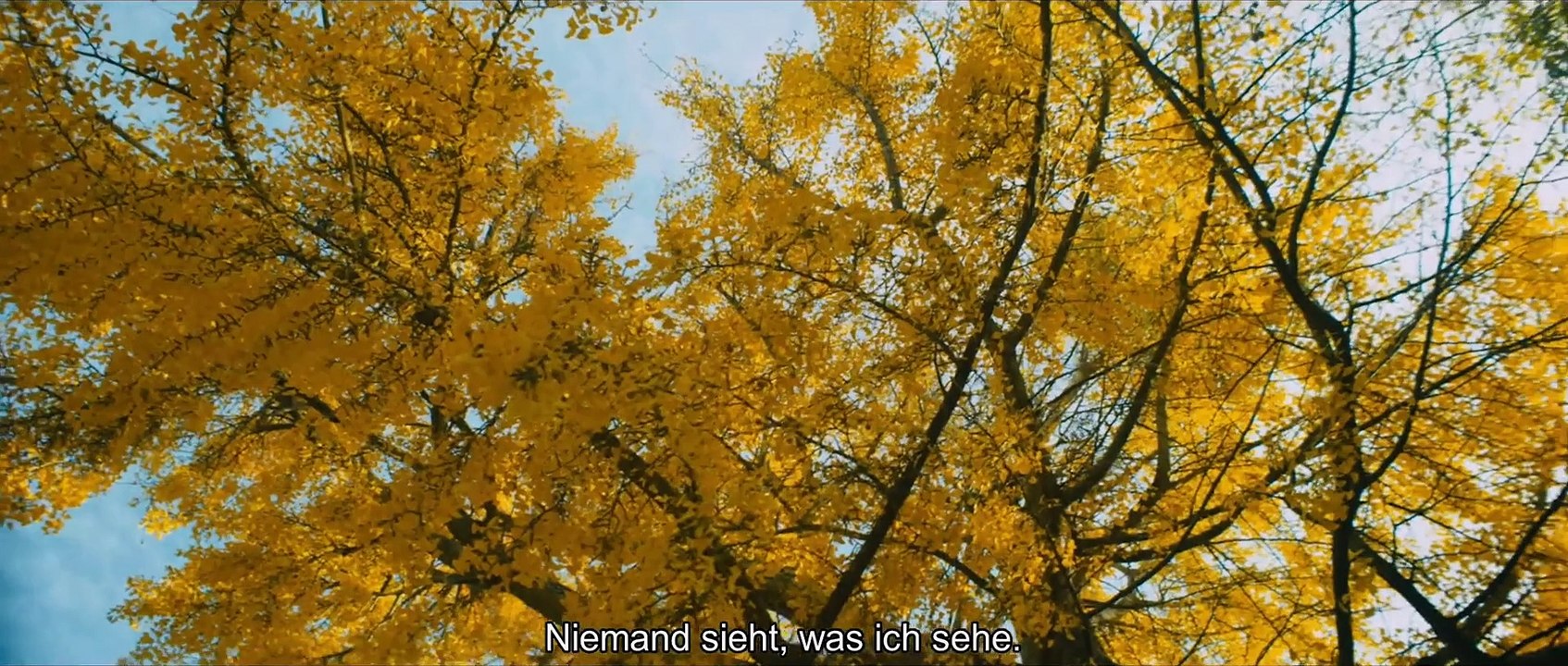 Van Gogh An der Schwelle zur Ewigkeit Film trailer