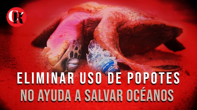 Eliminar uso de popotes no ayuda a salvar océanos
