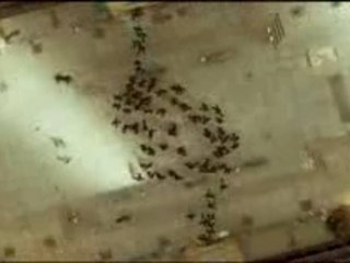 Bande-annonce The Matrix Reloaded