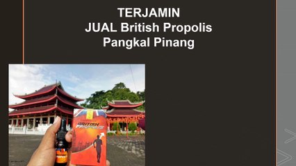 TERJAMIN, WA +62 812 9627-2689 JUAL British Propolis Pangkal Pinang