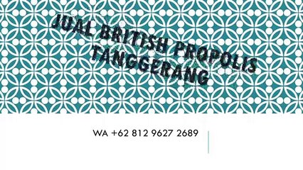 HALAL WA +62 812 9627 2689, Jual British Propolis Tanggerang