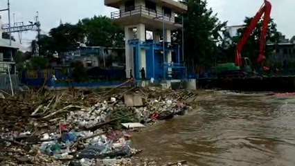 Kondisi Sampah yang Menumpuk di Pintu Air Manggarai