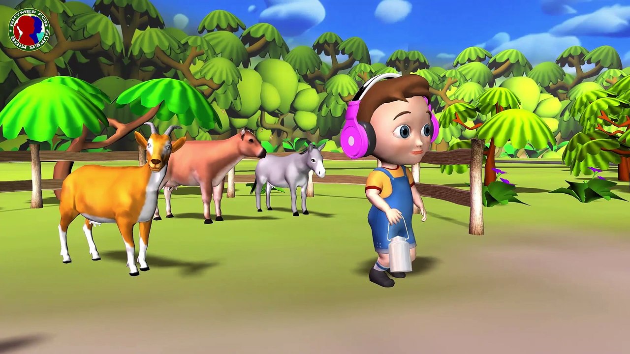 Hide and seek game for childrens ## ll Funny monkey and animals playing outdoor games for toddlers