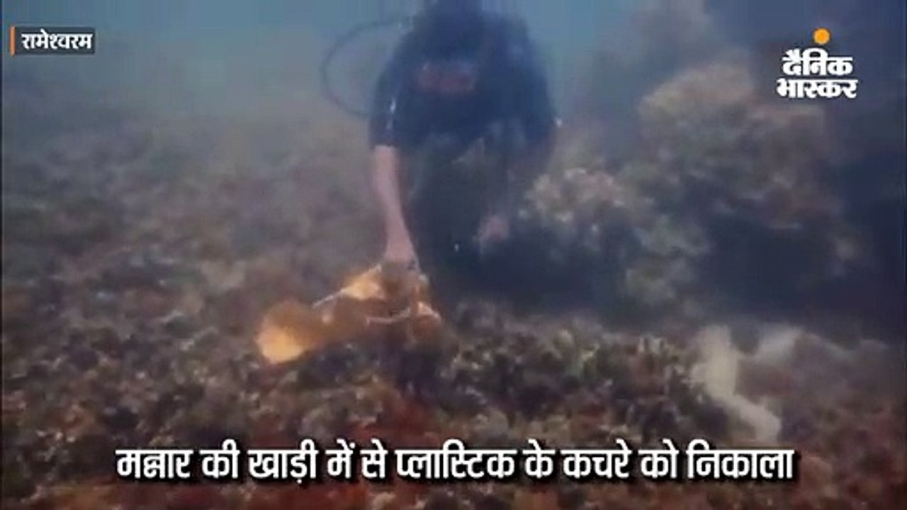 मन्नार की खाड़ी से प्लास्टिक कचरा निकाल रहे गोत...
