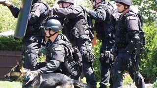 Quick History of Police K9 Units