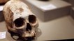 Ancient Aliens: Paracas Skull DNA Test