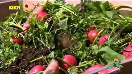 Loewenzähnchen 43 Keks und der Gummstiefelalarm - Ratte