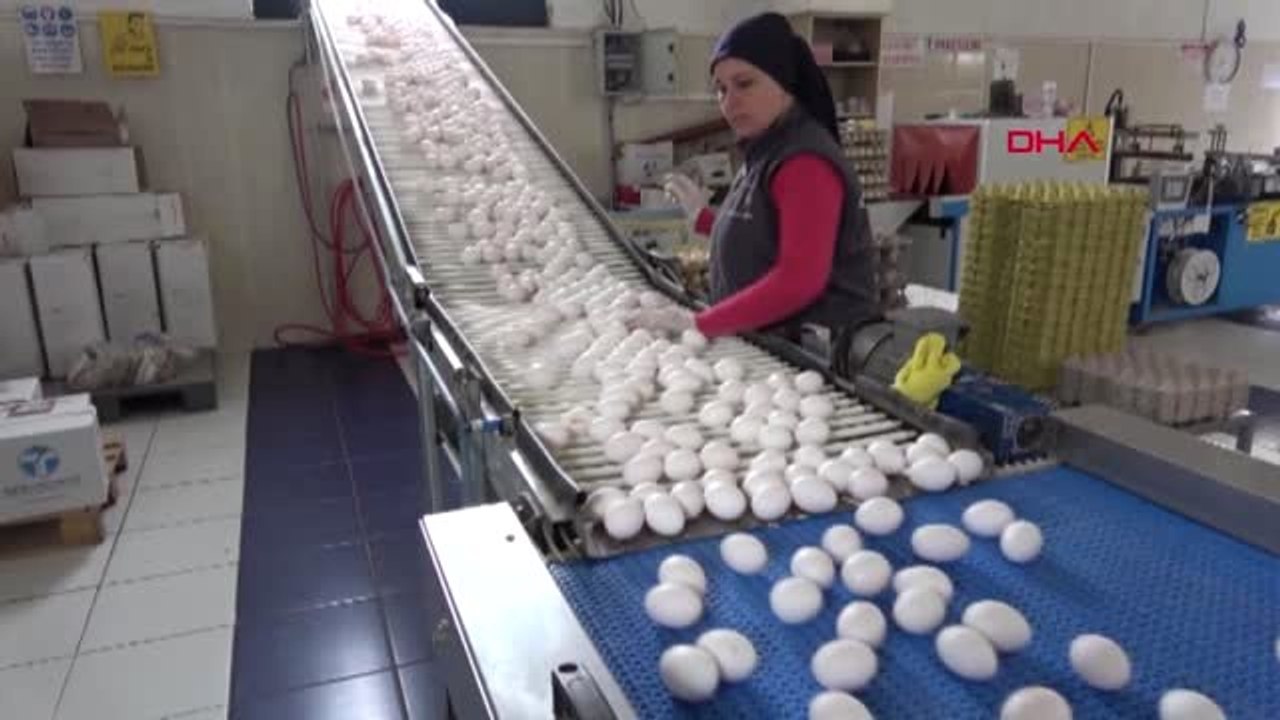 Aydın İki Kuzen Tavuk Çiftliği ile Hedef Büyüttü