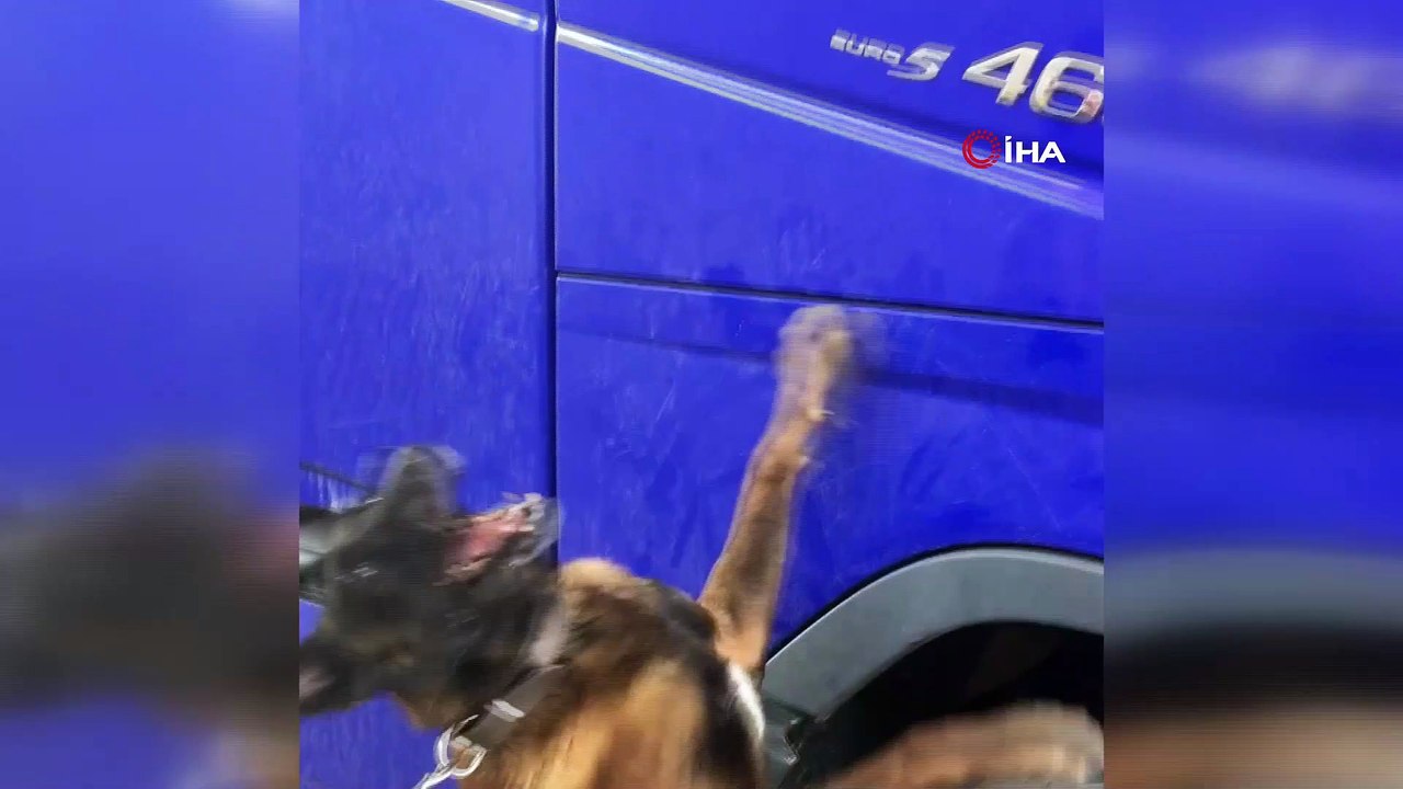 'Ares' eroine geçit vermedi