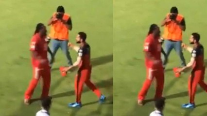 IPL 2019 : Virat Kohli and Chris Gayle recreate their bromance | वनइंड़िया हिंदी