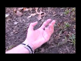 CRASH DYSTOPIA Alone